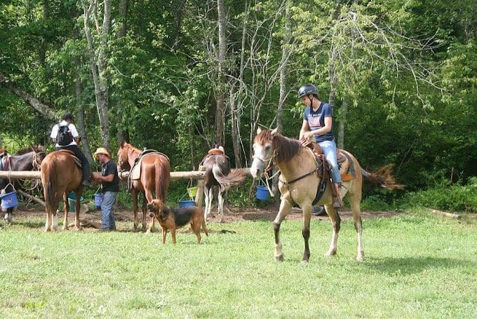 Adventure Trail Rides.jpg